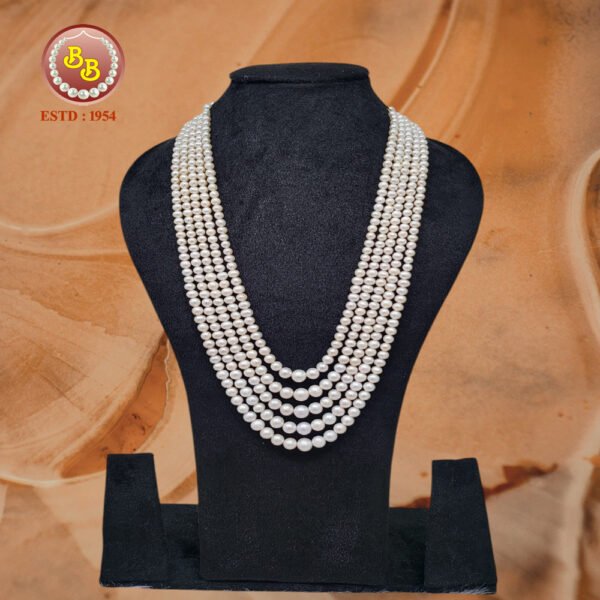 Sherwani Gradation Pearls Malla